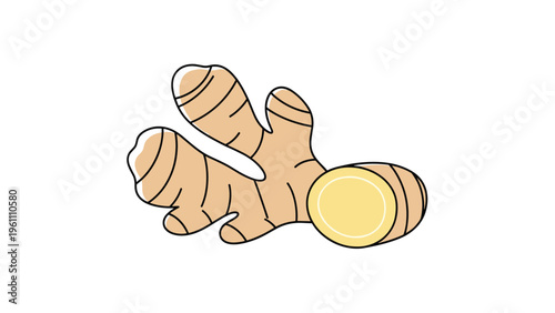 Fresh ginger root and a circular cross-section slice isolated on a white background for culinary and health concepts.
