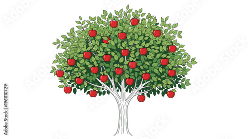 Lush green apple tree heavily laden with ripe red apples standing tall on a white background in a detailed vector illustration style.
