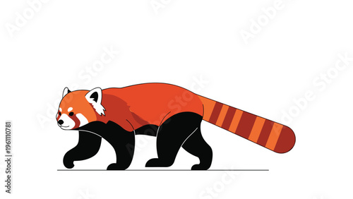 Adorable red panda with its characteristic striped tail and reddish fur walking across a simple white background in a vector style.