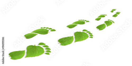 green leaf growing footprints, co2 symbol isolated on White Background. Reduce CO2 emission concept.Clean and friendly environment without carbon dioxide emissions.