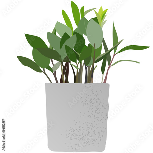 植木鉢に植えた観葉植物のイラスト　ベクター　葉　グリーン　アイコン　白背景　透明　挿絵　インテリア　広告　チラシ