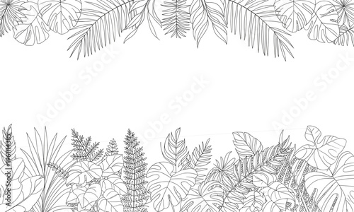 Tropical botanical frame with palm and monstera leaves line art illustration, elegant black and white jungle border design, natural foliage background for decoration