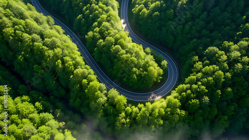 Aerial view of a winding road through a dense forest