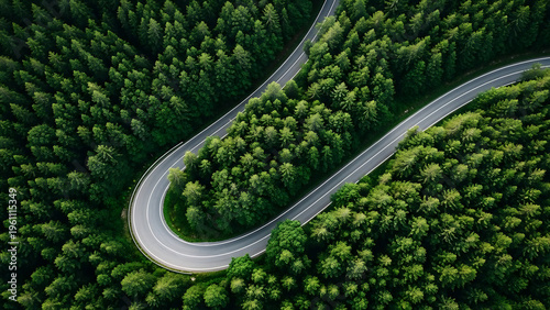 Aerial view of a winding road through a dense forest