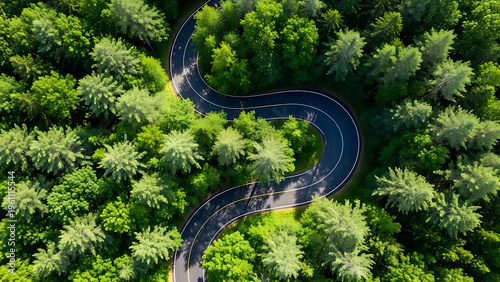 Aerial view of a winding road through a dense forest