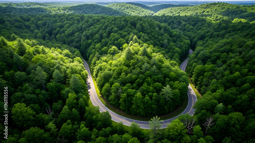Aerial view of a winding road through a dense forest