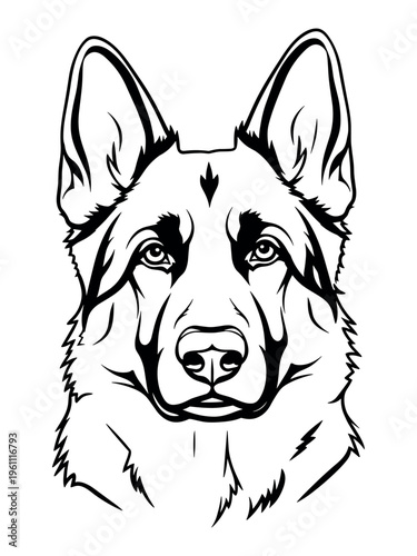 German shepherd dog illustration, serious expression, black and white line art