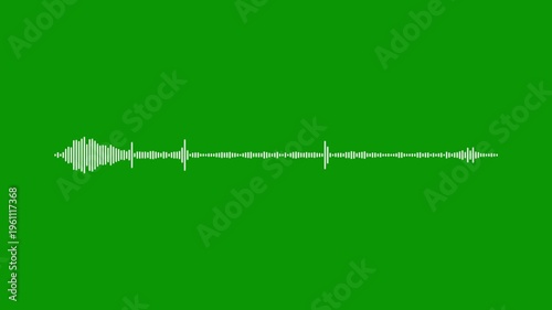Abstract white signal wave, sound frequency animation, chroma key green screen, 4k music visualizer, electronic audio equalizer, voice record signal, digital beat visualization.