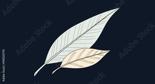 Pair of hand-drawn leaves with fine line details are set against a dark background for a high-contrast botanical effect.