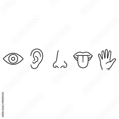 Five human senses icon vector