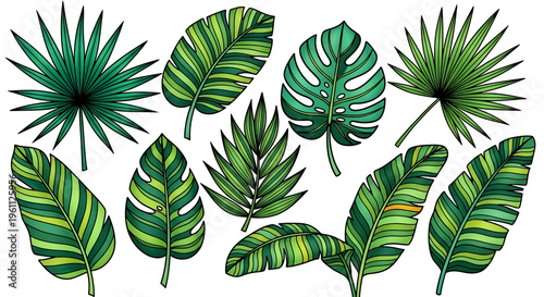 Tropical leaves vector illustration set, green palm leaf and monstera foliage elements, jungle botanical clip art isolated on white background