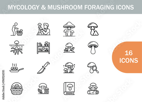 Mycology and mushroom foraging a collection of sixteen line art icons