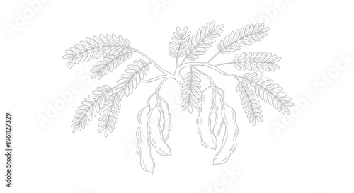 Detailed drawing of palm leaves.