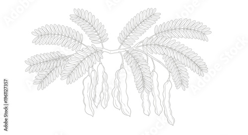 Detailed illustration of palm leaves.