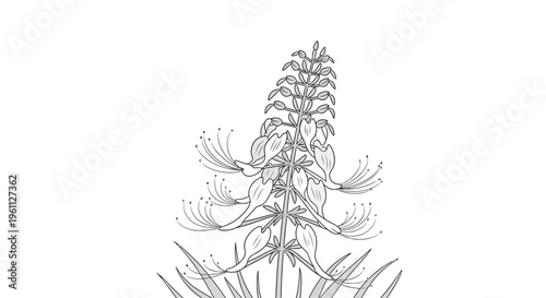 Detailed illustration of a plant.