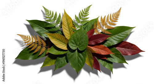 Tropical autumn leaves arrangement on white background, colorful fall foliage bouquet with green fern fronds, decorative botanical border for design