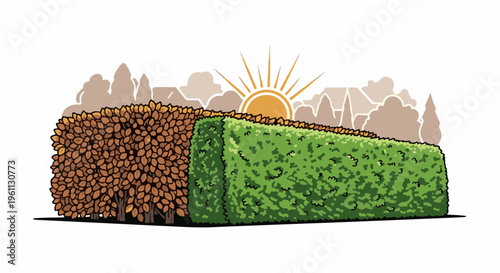 Two hedges, one brown, one green, with a sun rising over distant trees