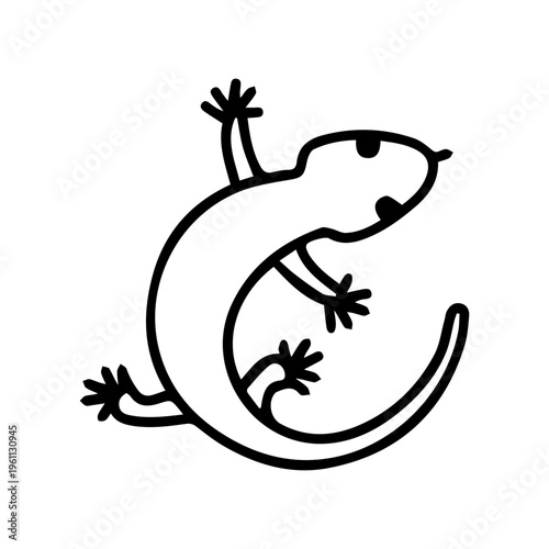 Lizard illustration