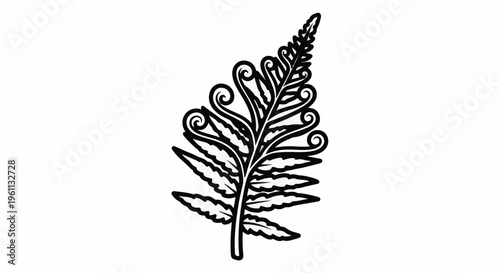 Stylized outline of a single fern frond with intricate curls