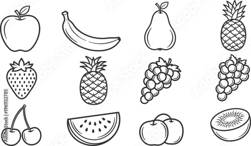 A collection of various fruit illustrations