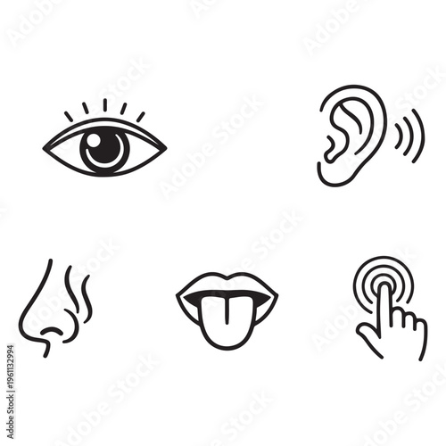 Five human senses icon vector