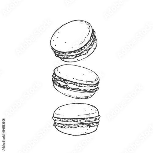 Macaroons hand-drawn vector illustration. Sketch of a sweet pastry. Isolated object, element for label design, menus, recipes, bakery, and coffee shop.