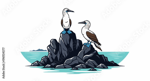 Two blue-footed boobies perched on dark, jagged rocks by the sea