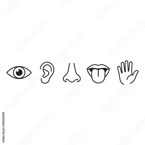 Five human senses icon vector