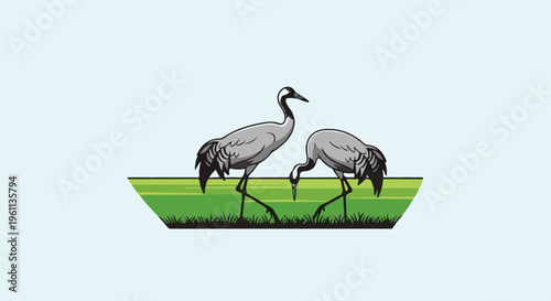 Two cranes stand in a grassy field with a light blue background