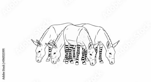 Three stylized line art donkeys with striped legs graze
