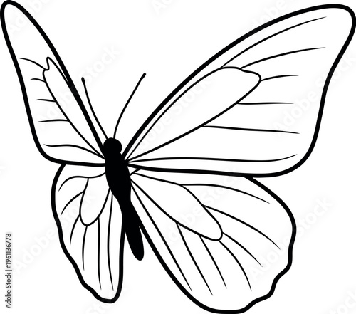 Black and white butterfly illustration