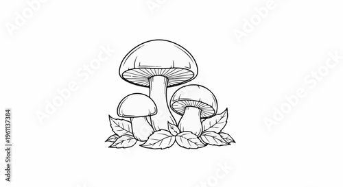 Three delicate mushrooms with detailed gills, nestled amongst fallen leaves