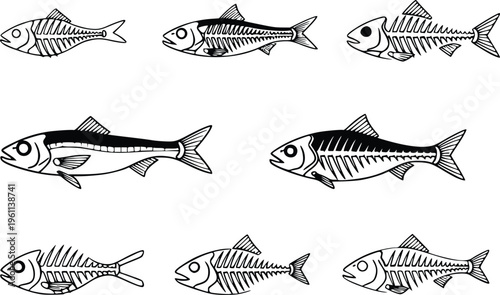 A black and white illustration of multiple fish swimming together