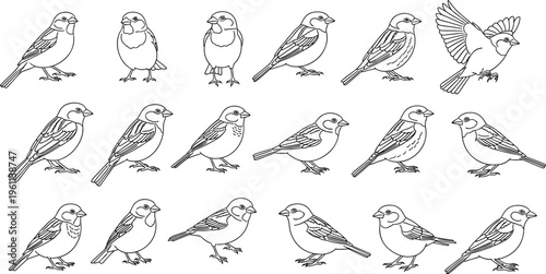 Schilderij op canvas Small Bird Outline Icon Collection with Various Cute Birds in Different Poses Mi