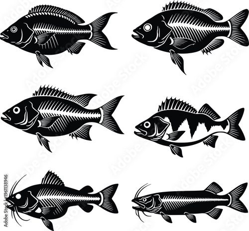 A black and white illustration of various fish on a plain background