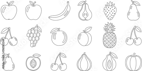 A collection of 16 hand drawn fruit illustrations