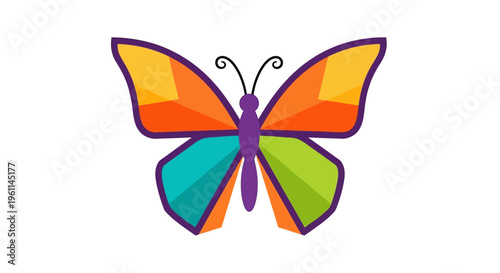 Colorful Butterfly Insect Winged Creature.