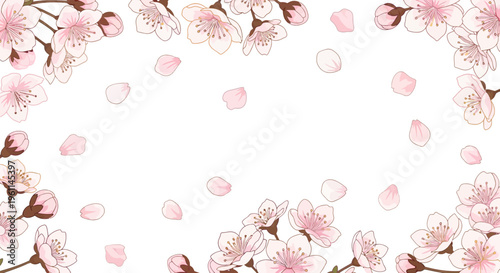 Pink Cherry Blossom Flower Petals Falling.