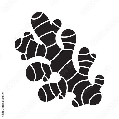 Black and white vector illustration of ginger root