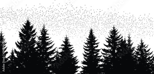 Black Silhouette Vector of Pine Forest Trees with Large Flock of Birds Flying in Sky, Isolated Nature Landscape for Wilderness Design