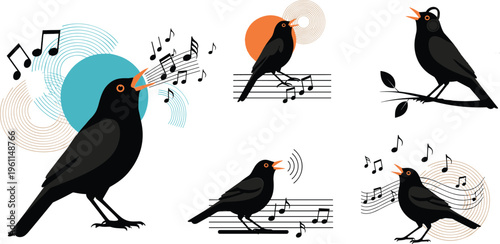 Blackbird Singing Music Concept Set with Sound Waves Notes and Perching Poses Bird Vector Collection Isolated on White Background