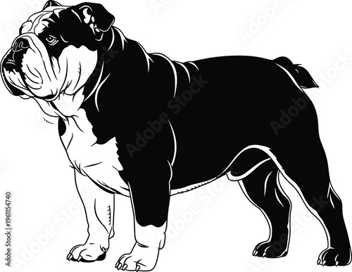 Black and white bulldog vector illustration, muscular dog profile artwork highlighting wrinkled face, short snout, strong legs, and bold design