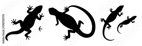 Lizard silhouette set with simple black outline on neutral background featuring reptile, animal, silhouette with bold and minimal