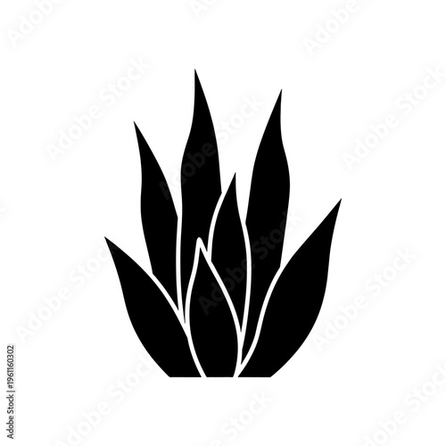 A striking black silhouette of an agave plant with sharply pointed leaves and a central bloom silhouette
