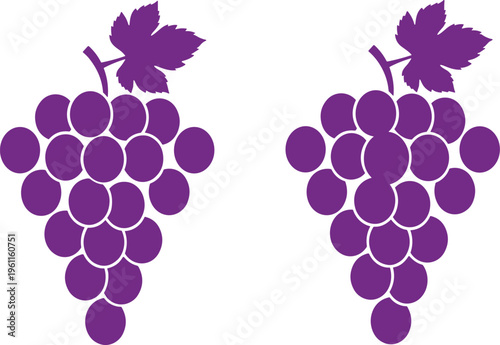 Here is a SEO-optimized title and a comprehensive set of keywords designed to maximize the visibility of your grape illustration on Adobe Stock.
