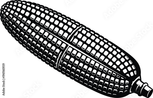 Black and white vector illustration of a corn on the cob ear with detailed kernels isolated on a white background.