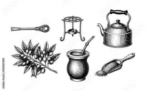 Yerba mate set for traditional South American beverage vector illustration.