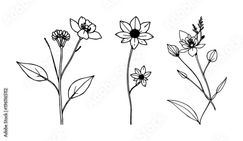 Nature wellness flora set with botanical and soothing illustration featuring plants, flowers, herbs, trees with restful color palette and natural textures