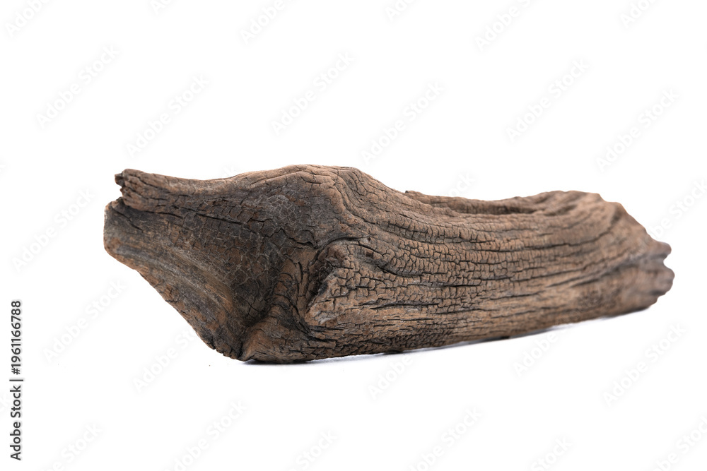 Fototapeta premium Ancient, dried tree roots with unique and beautiful shapes against a white background.