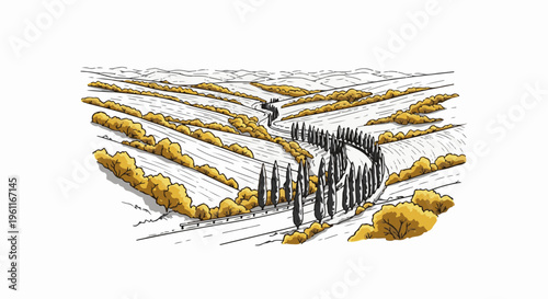 Winding rural road flanked by cypress trees and golden bushes on rolling hills